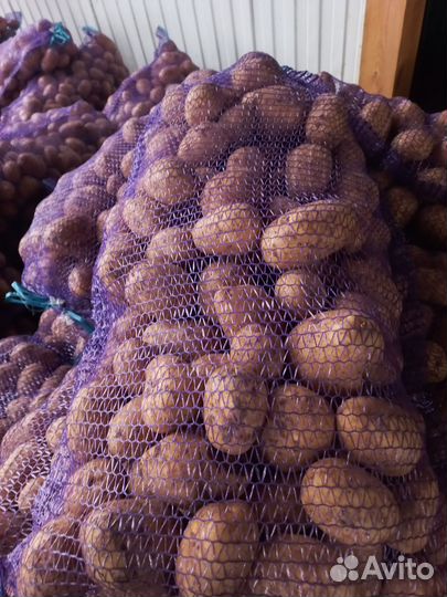 Картошка с доставкой