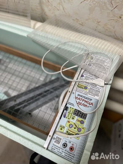 Инкубатор блиц 72