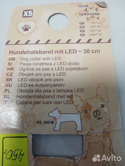LED-ошейники для маленьких пород собак