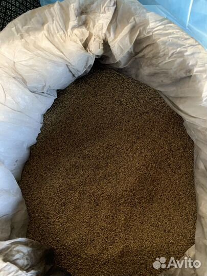 Семена люцерны