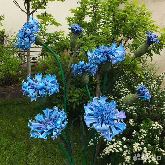 Ростовые цветы в аренду