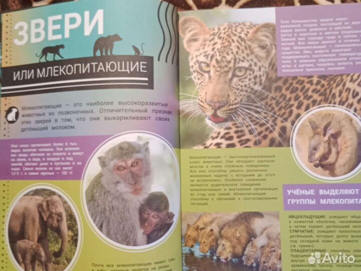 Детские книги, энциклопедия