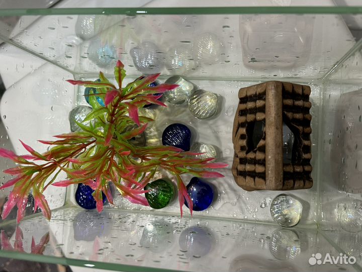 Аквариум для рыбок