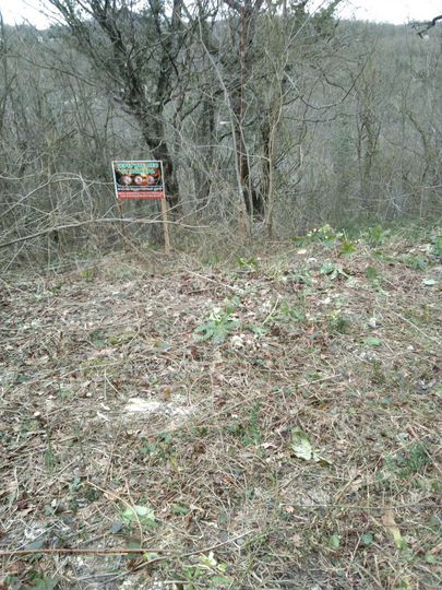 Участок 6,2 сот. (СНТ, ДНП)