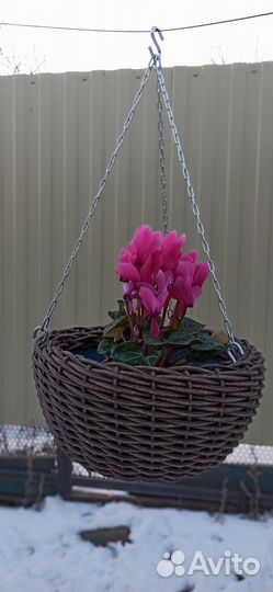 Кашпо из ротанга