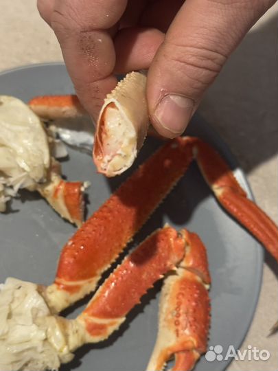 Краб стригун