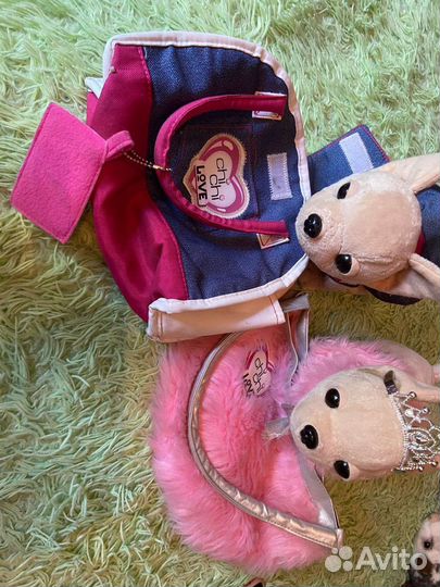 Собаки чичилав