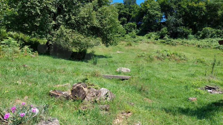 Участок 76,3 сот. (ИЖС)