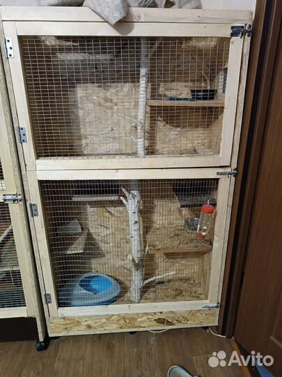 Витрина для шиншилл