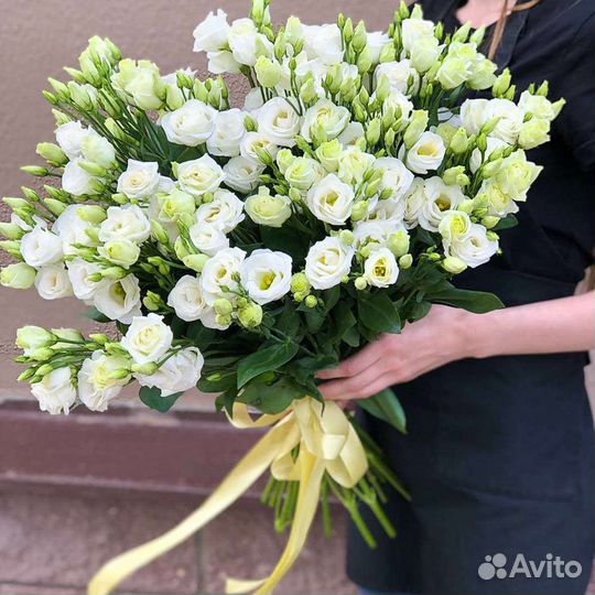 Эустома оптом