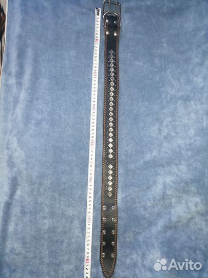 Ошейник для собак