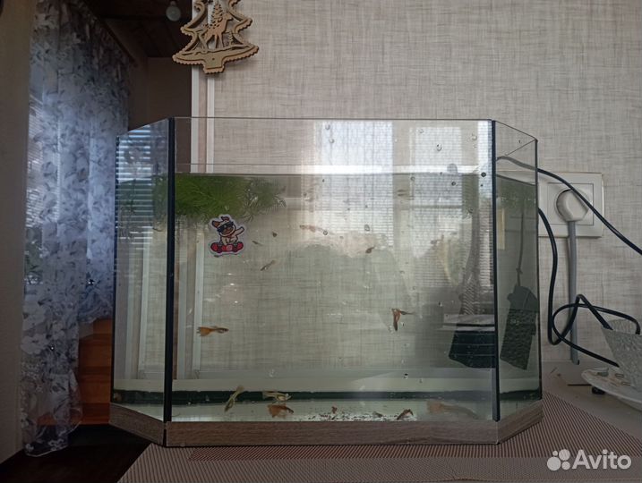 Аквариум