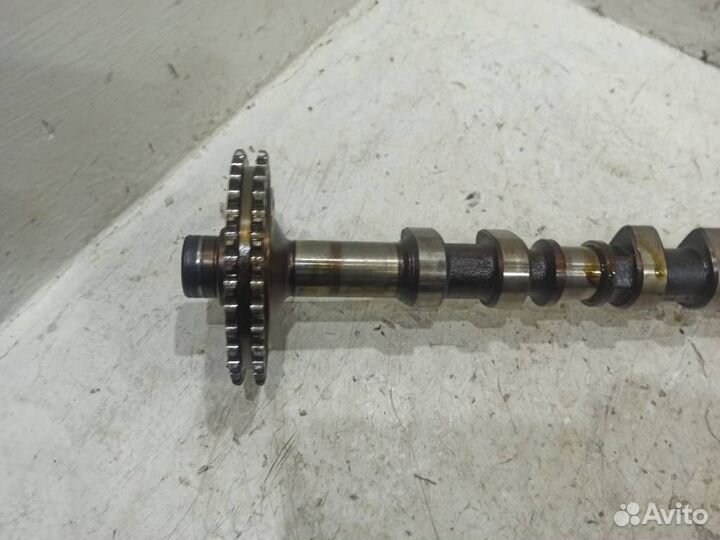 Распредвал выпускной A1190501817