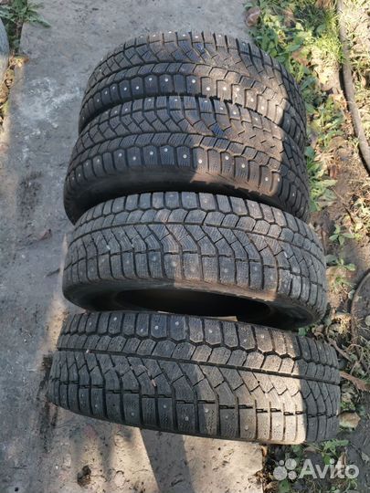 Viatti Brina Nordico V-522 195/65 R15
