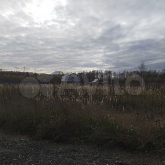 Участок 20 сот. (ИЖС)