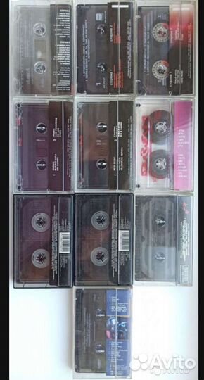 Алиса,Бахыт К, Янка,Сектор,Нау,Зоопарк