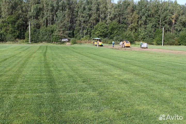 Рулонный газон /продажа/укладка