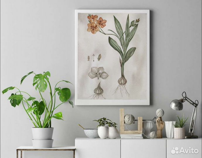 Художник иллюстратор