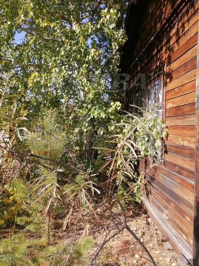 Участок 13 сот. (СНТ, ДНП)