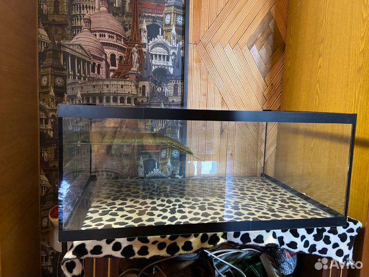 Аквариум для черепах бу 84*55*35