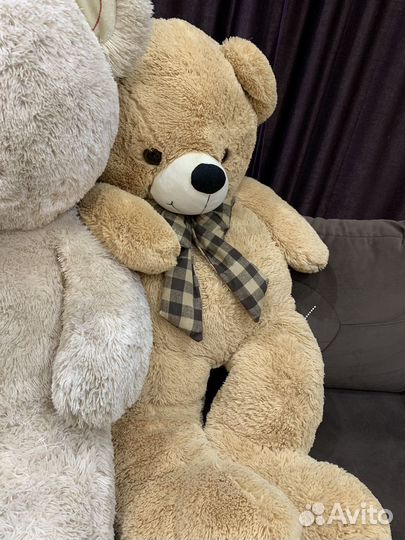 Большие плюшевые медведи