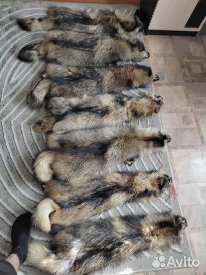 Продаются шкуры с фабричной выделкой