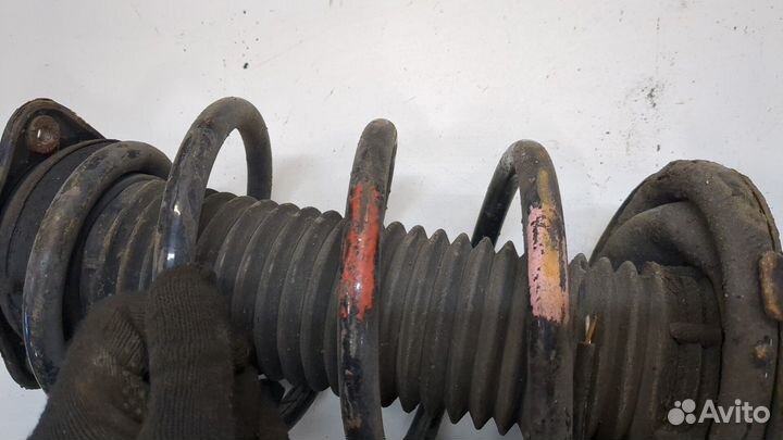 Амортизатор подвески Ford Focus 2, 2008