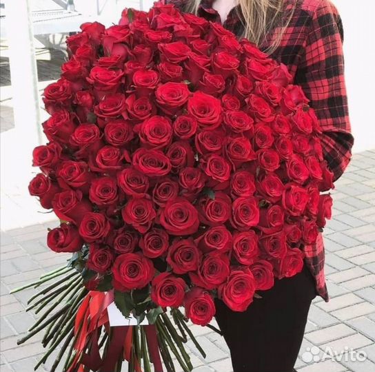 Букеты из роз 15/25/51/101 шт