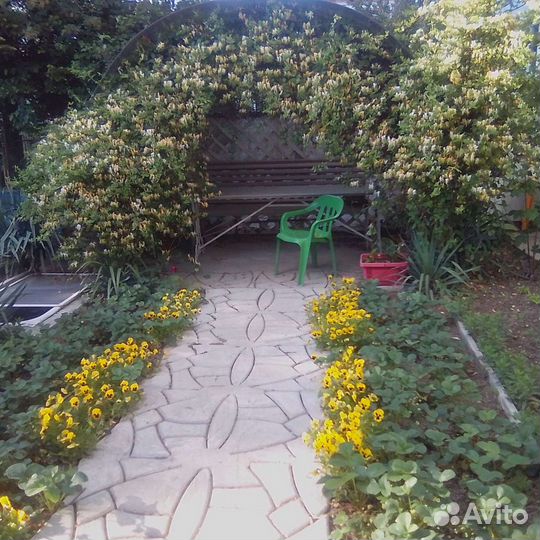 Жимолость каприфоль