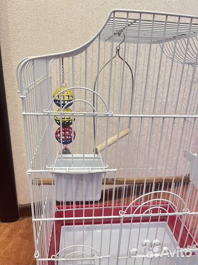 Клетка для попугая корелла/какарик
