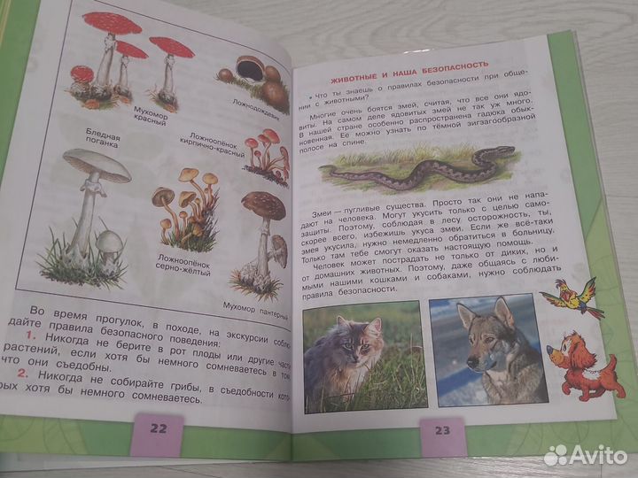 Окружающий мир 3 класс Плешаков