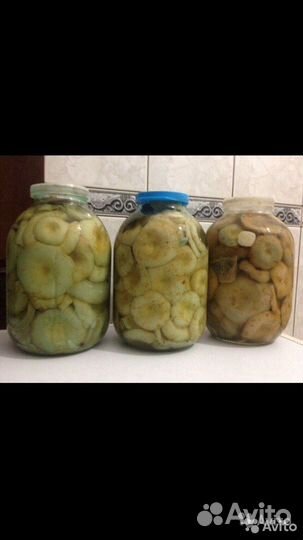 Грузди маринованные сырые горячего посола