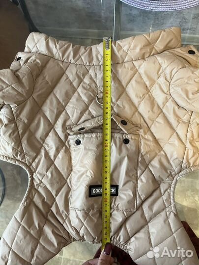 Костюм для собаки