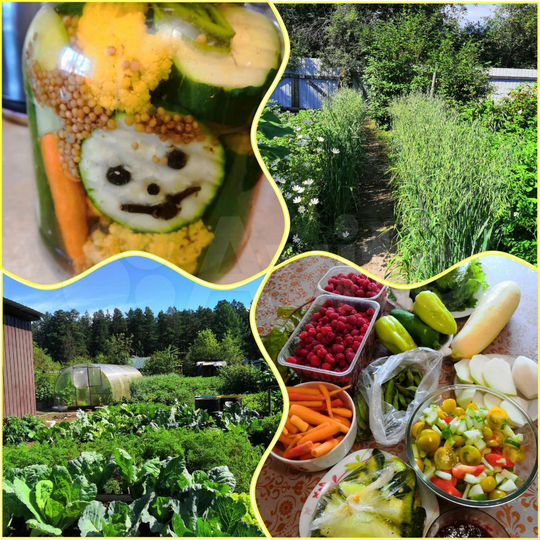 Дача 15 м² на участке 6 сот.