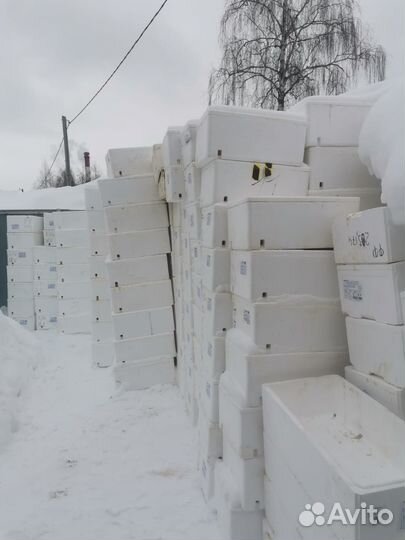 Пенопластовые ящики (только оптом)