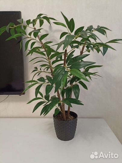 Исскуственное дерево Бамбук Пальма