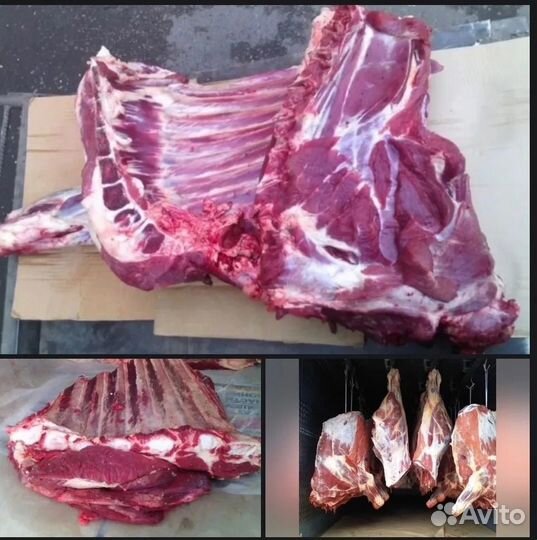 Охлажденная говядина оптом