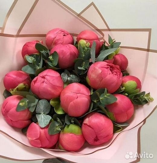 Пионы Цветы Доставка