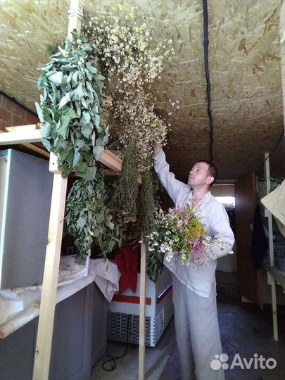 Банщик-массажист, Спа на выезд