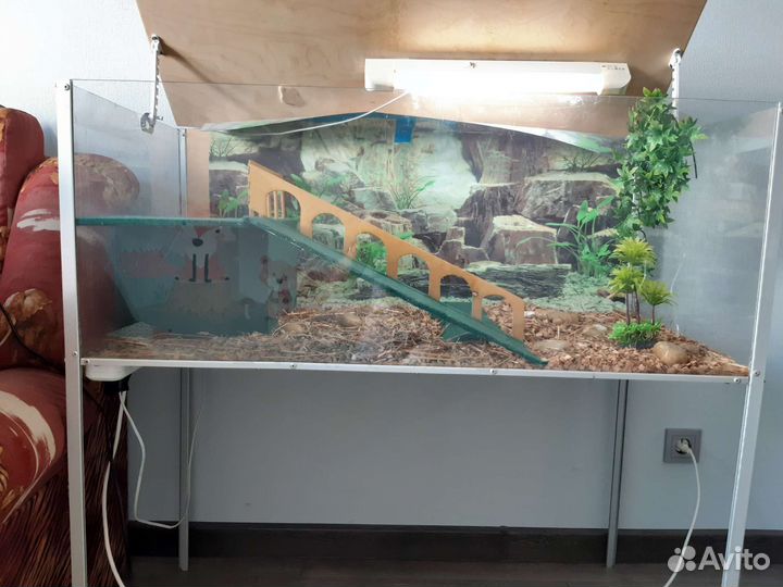 Террариум для сухопутной черепахи