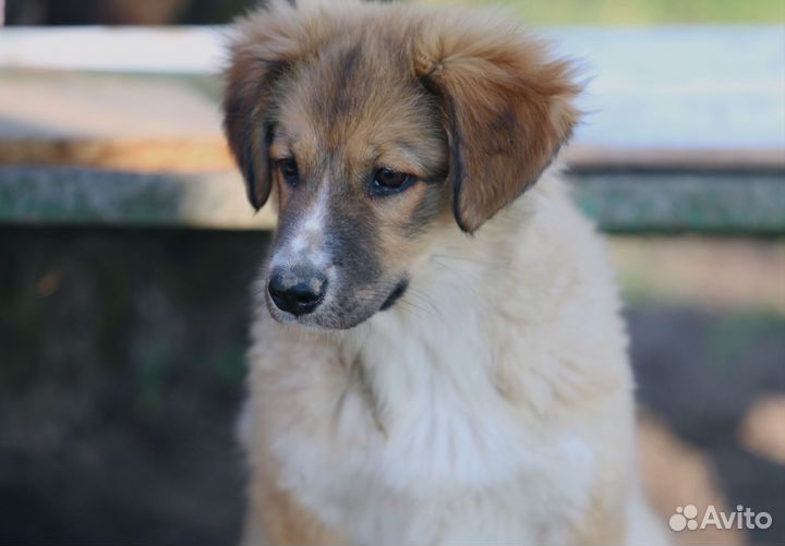 Помогите найти дом