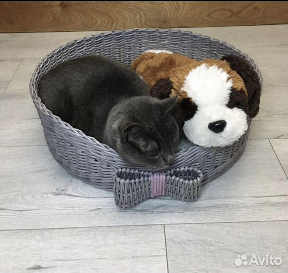 Домик для кошки новый