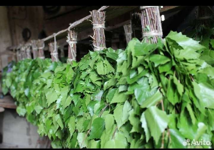 Веники для бани