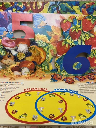 Книга цифры и счет для детей
