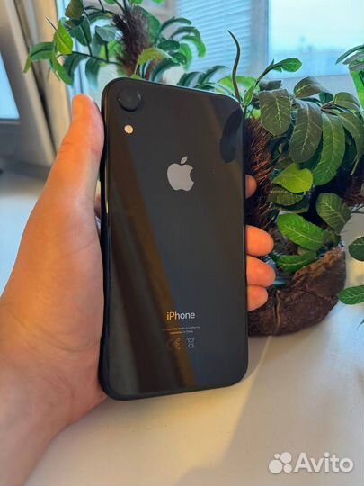iPhone Xr, 128 ГБ