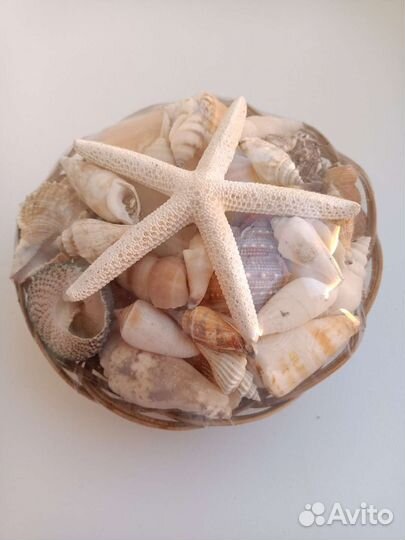 Набор ракушек в корзинке, не распакована