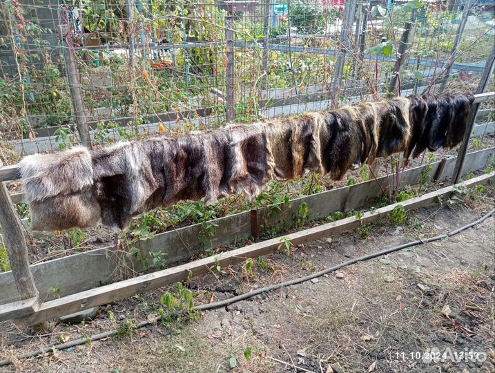 Шкура нутрии выделанная