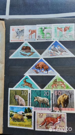 Коллекция марок разной тематики