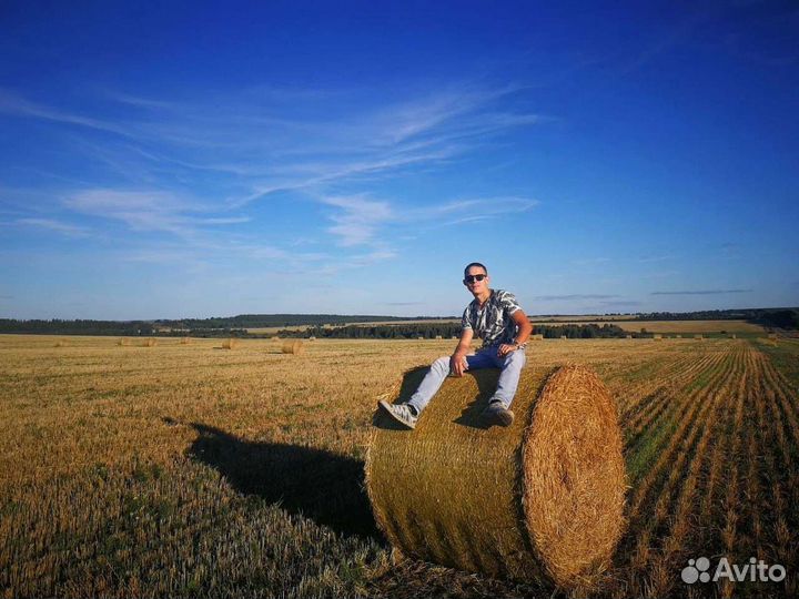 Артист, певец, вокалист, солист