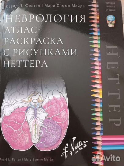 Неврология атлас-раскраска с рисунками Неттера